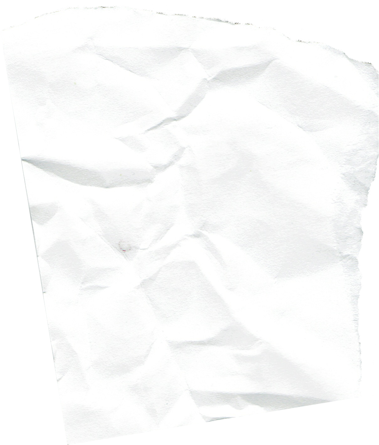 White Paper